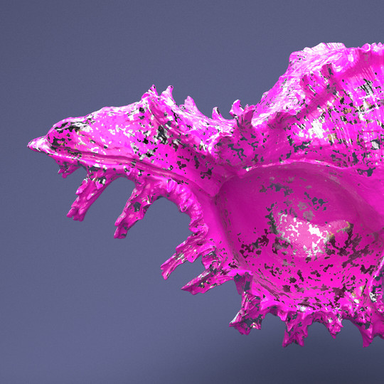 44_Shell_Hover